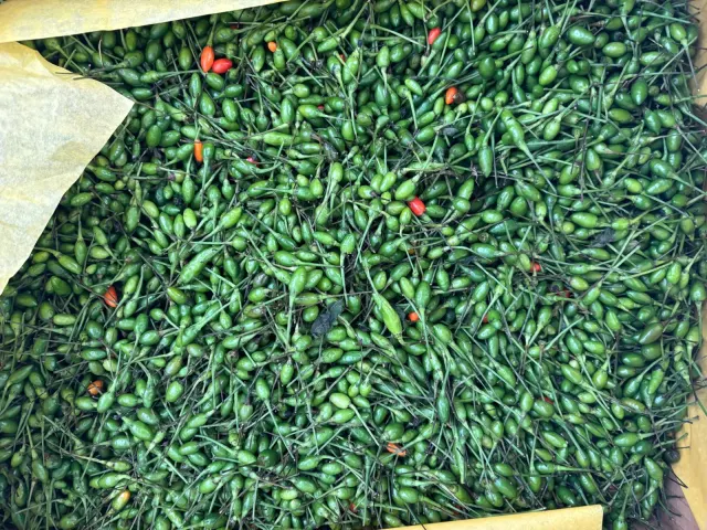 Chile chiltepe fresco / Fresh Chilepin