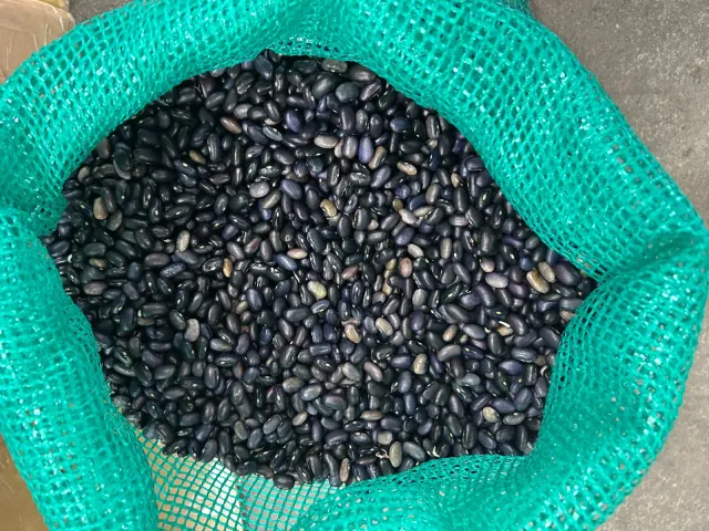 Frijol fresco desgranado negro / Fresh Shelled Black Beans
