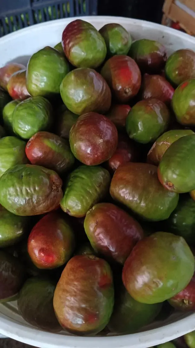 Ciruela en conserva / Preserved Plums