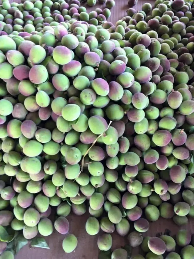 Chabacano verde / Green Apricot