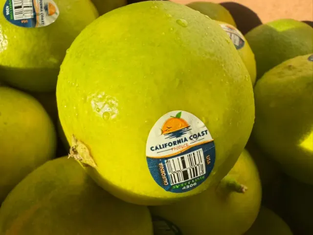 Lima Dulce / Sweet Lime