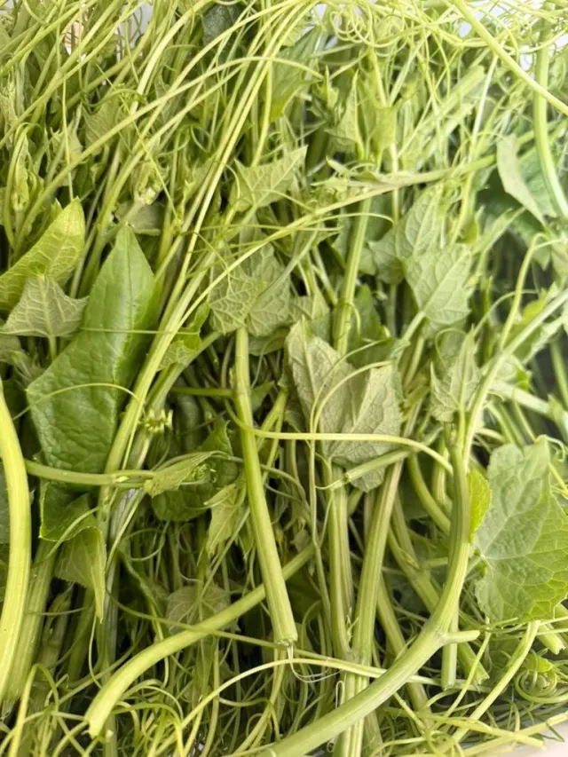 Punta de chayote / Chayote Tips
