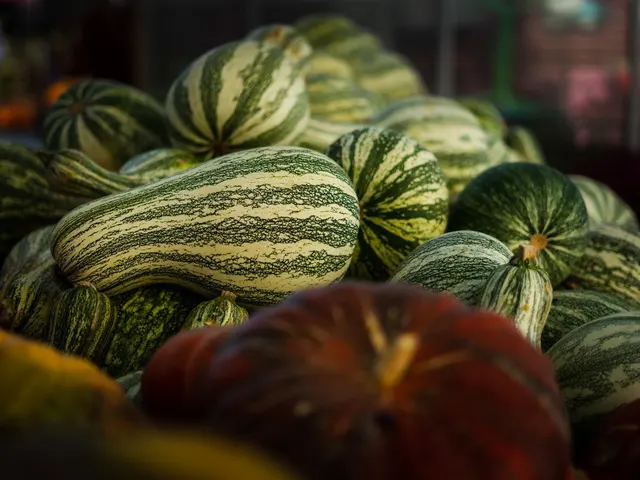 Calabaza ayote / Ayote Squash