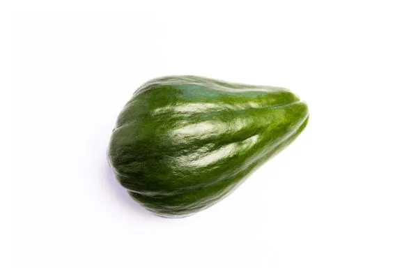 Chayote Negro / Black Chayote