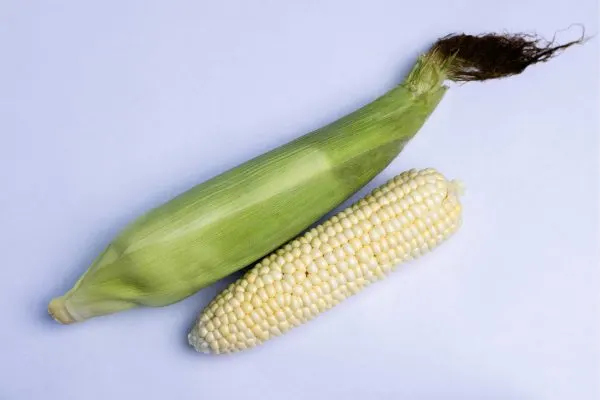 Elote Blanco / White Corn