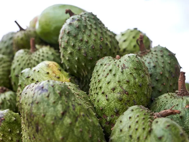 Guanábana / Soursop