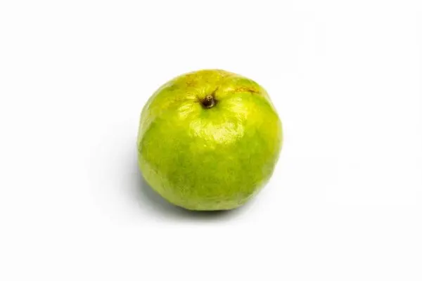 Guayaba California / Guava