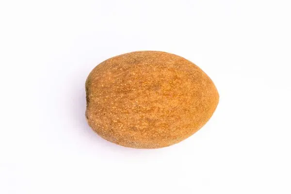 Mamey Sapote / Pouteria Sapote