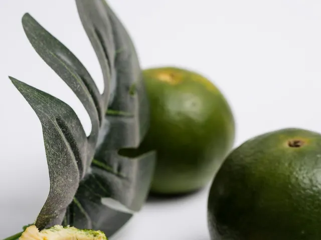 Mandarina satsuma verde / Green Satsuma
