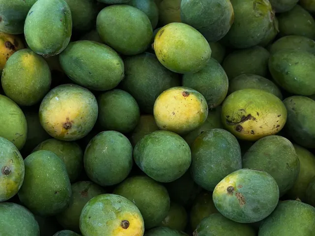 Mango sazón corriente / Mature Common Mango