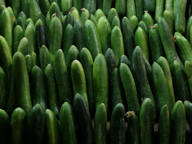 Pepino persa / Persian Cucumber