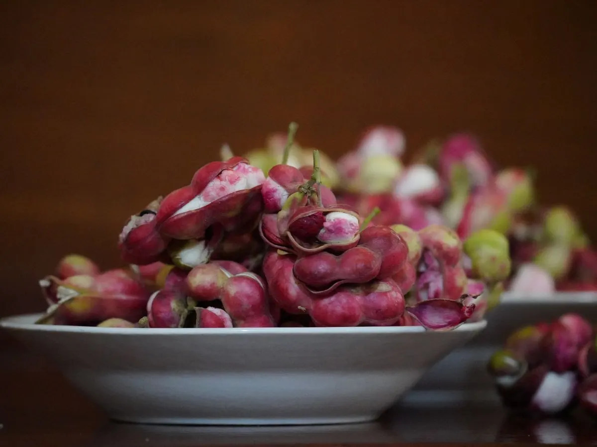 Pinzán (guamúchil) / Guamúchil